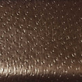 OSTRICH - VEGAN FAUX OSTRICH PRINT VINYL UPHOLSTERY FABRIC BY THE YARD