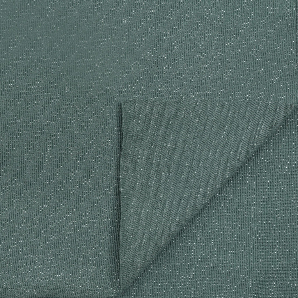 EL6026 - Glimmer Nylon Spandex Lurex Fabric | Blue Moon Fabrics