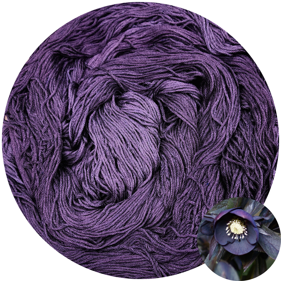 Hellebore - Flower Silk by StitchyBox (Standard Colorway)