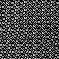 White Daisy Printed Spandex Fabric | Blue Moon Fabrics