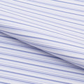 PTG301R - Diverse Shade of Stripes Printed On Recycled Spandex Fabric | Blue Moon Fabrics