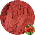 Crown Imperial - Flower Silk by StitchyBox (Standard Colorway)