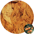 Lion's Tail - Flower Silk by StitchyBox (Standard Colorway)