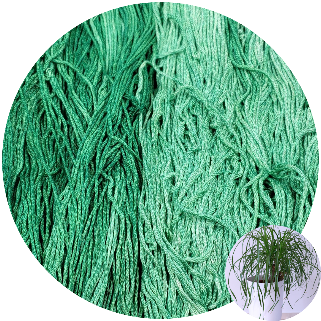 Ponytail Palm - Flower Silk by StitchyBox (Standard Colorway)