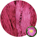 Wild Rose - Flower Silk by StitchyBox (Standard Colorway)